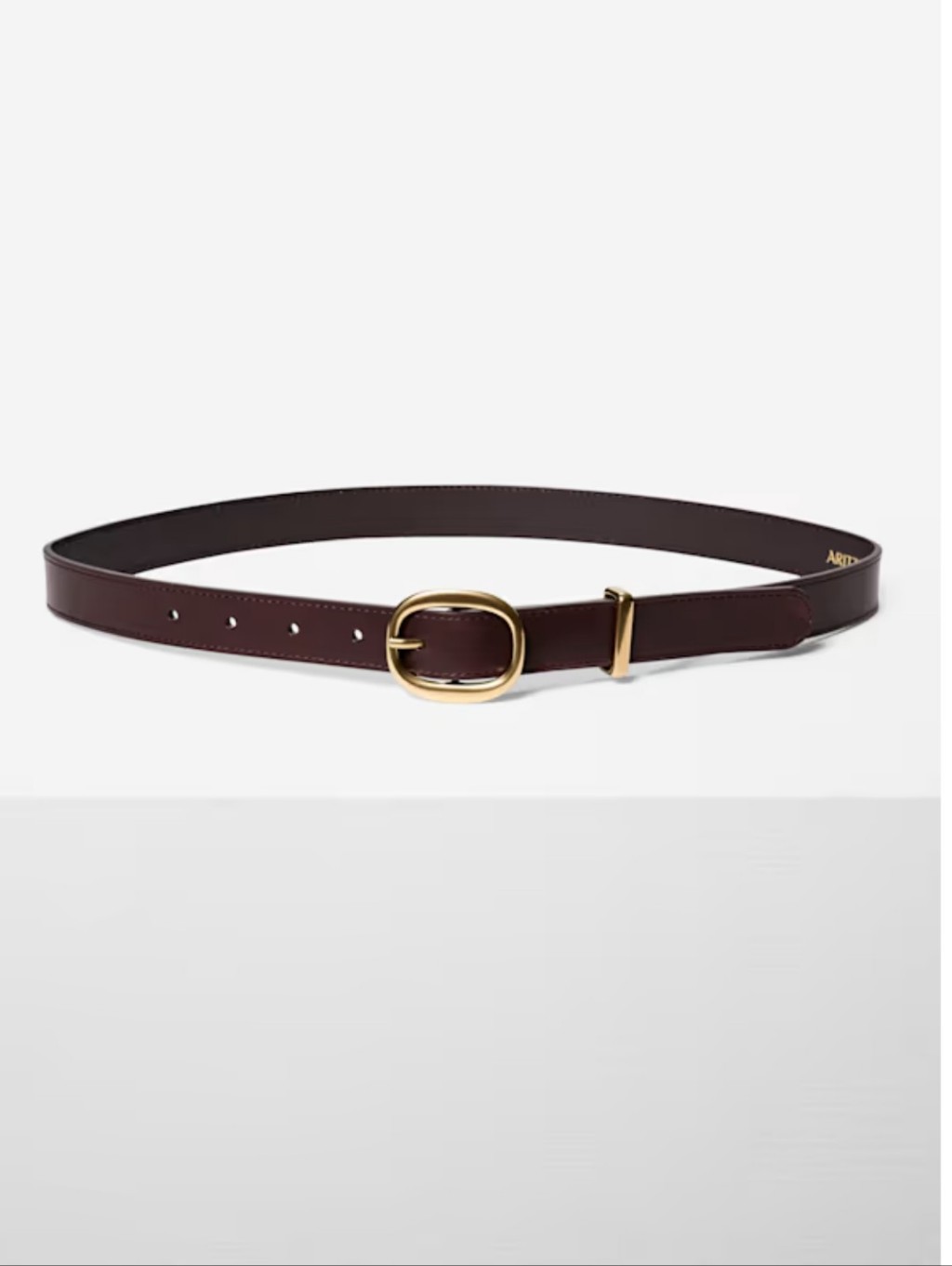 Nwt Aritzia Lifetime Leather Belt In Dark Brown And Gold